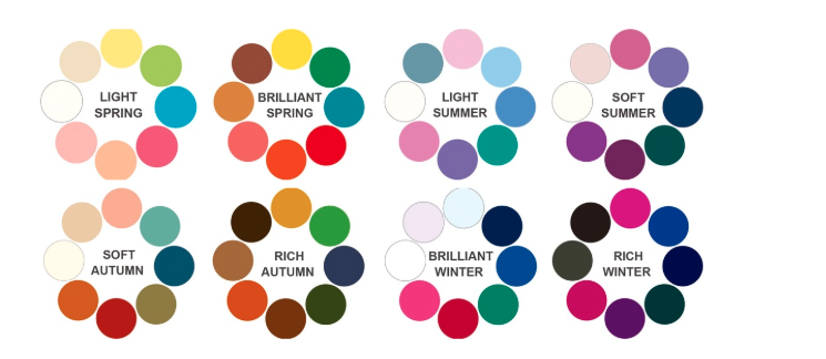 8Colorパーソナルカラーの8シーズン分類図